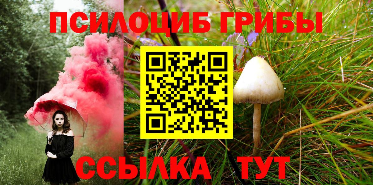 Галлюциногенные грибы MAGIC MUSHROOMS Шебекино