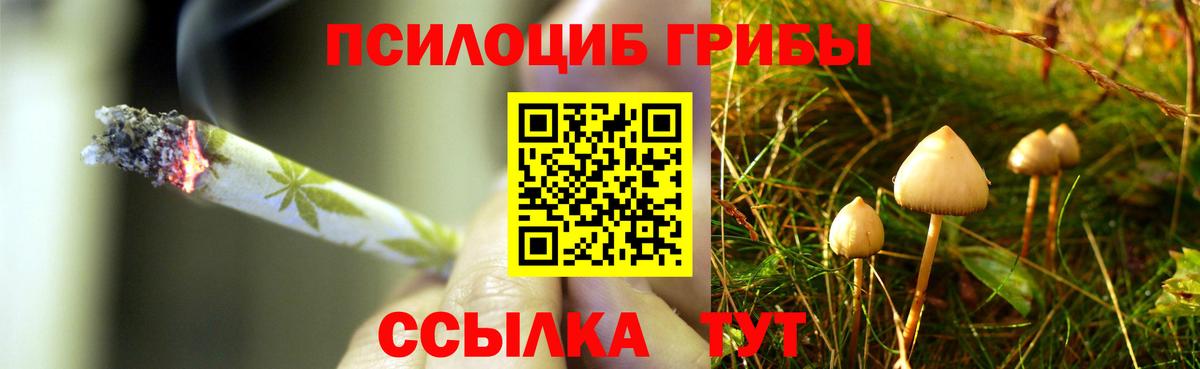 сколько стоит  Псилоцибиновые грибы Cubensis  Вход с VPN  Шебекино 